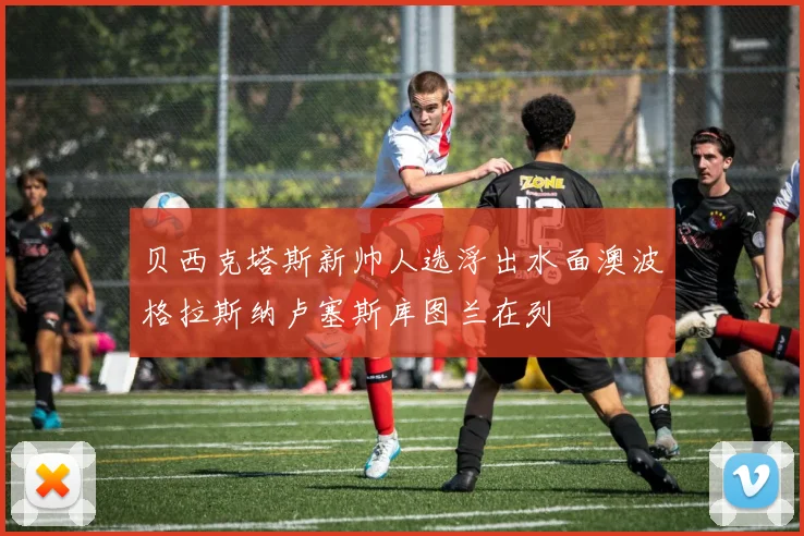 贝西克塔斯新帅人选浮出水面澳波格拉斯纳卢塞斯库图兰在列